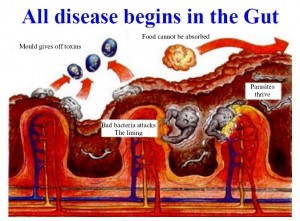 toxic gut
